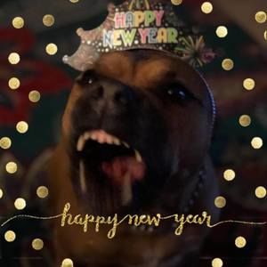 Meet your Posher, Carly